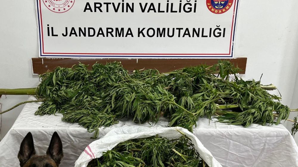 Artvin’de uyuşturucu operasyonu 1 kişi tutuklandı