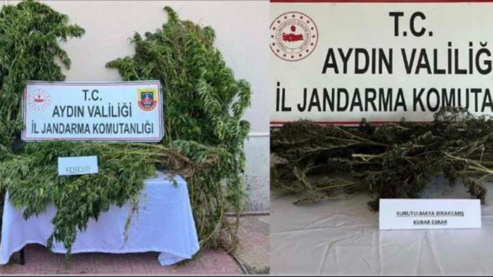 Aydın'da uyuşturucu operasyonu