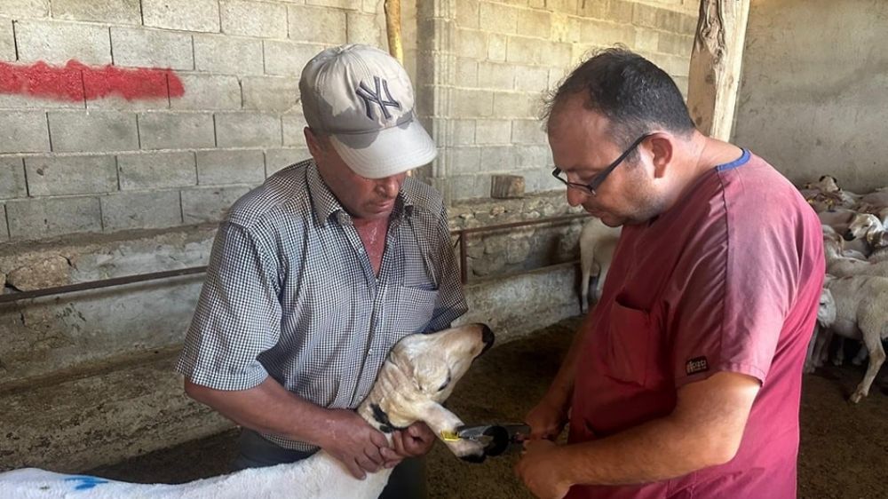 Başmakçı’da hayvan sağlığı çalışmaları hız kesmeden devam ediyor