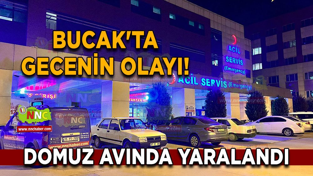 Bucak'ta gecenin olayı! Domuz avında yaralandı