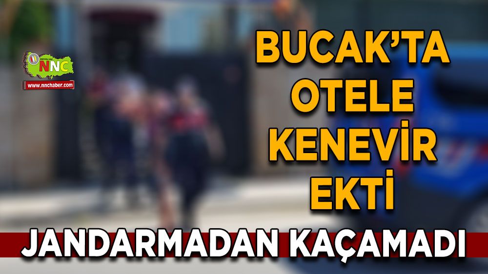 Bucak’ta Otele kenevir ekti! Jandarmadan kaçamadı