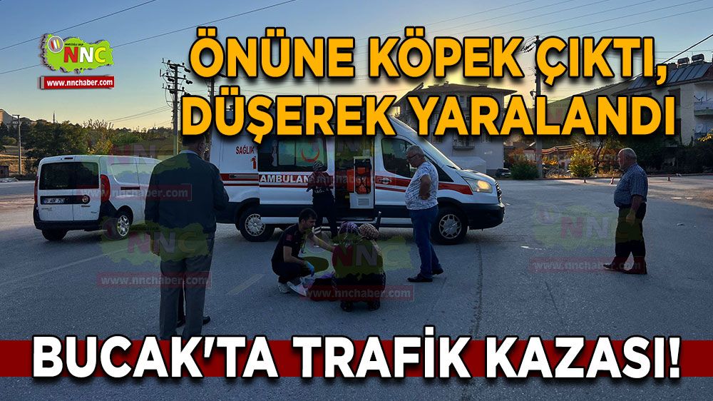 Bucak'ta trafik kazası! Önüne köpek çıktı, düşerek yaralandı