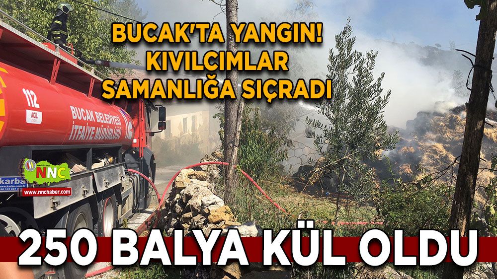 Bucak'ta yangın! Kıvılcımlar samanlığa sıçradı 250 balya kül oldu