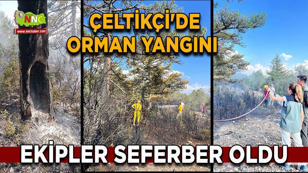 Burdur Çeltikçi'de orman yangını Ekipler seferber oldu