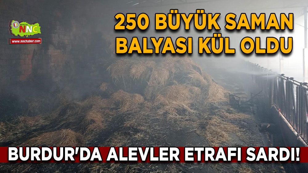 Burdur'da alevler etrafı sardı! 250 büyük saman balyası kül oldu