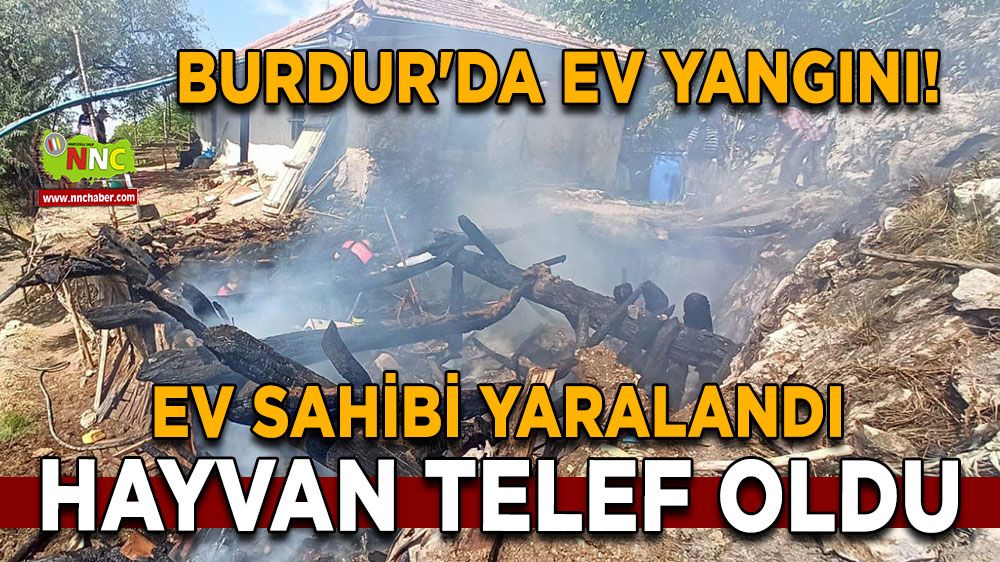 Burdur'da ev yangını! Ev sahibi yaralandı, hayvan telef oldu