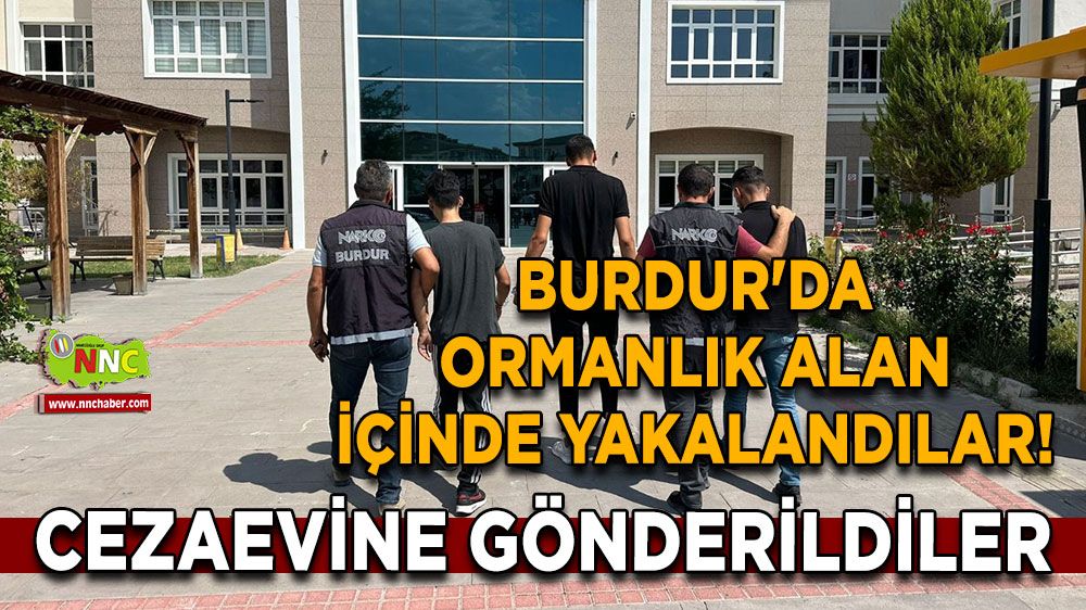 Burdur'da ormanlık alan içinde yakalandılar! Cezaevine gönderildiler