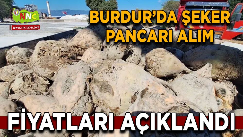 Burdur'da şeker pancarı alım fiyatları belli oldu