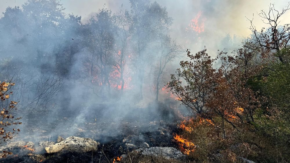 Bursa'da orman yangını Ekipler seferber oldu