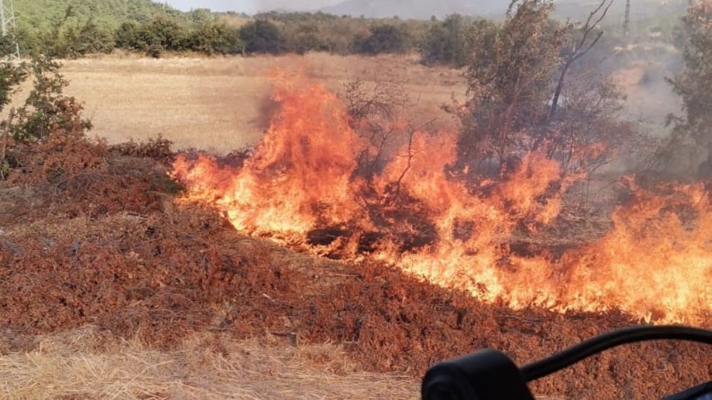  Çanakkale'de tarladaki yangın ormana sıçradı