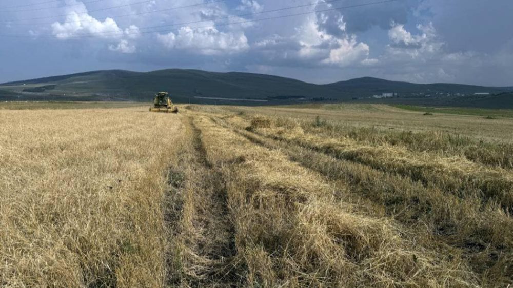 Çiftçiler Dikkat  Ekilmeyen Araziler elden gidiyor 