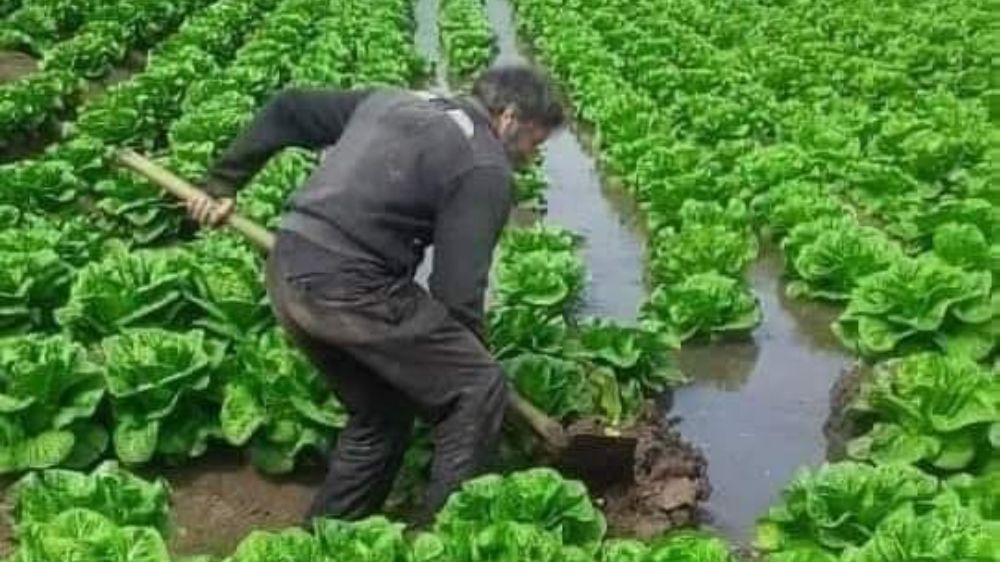 çiftçiler dikkat! Ekmediğiniz tarım arazileri  ne olacak 