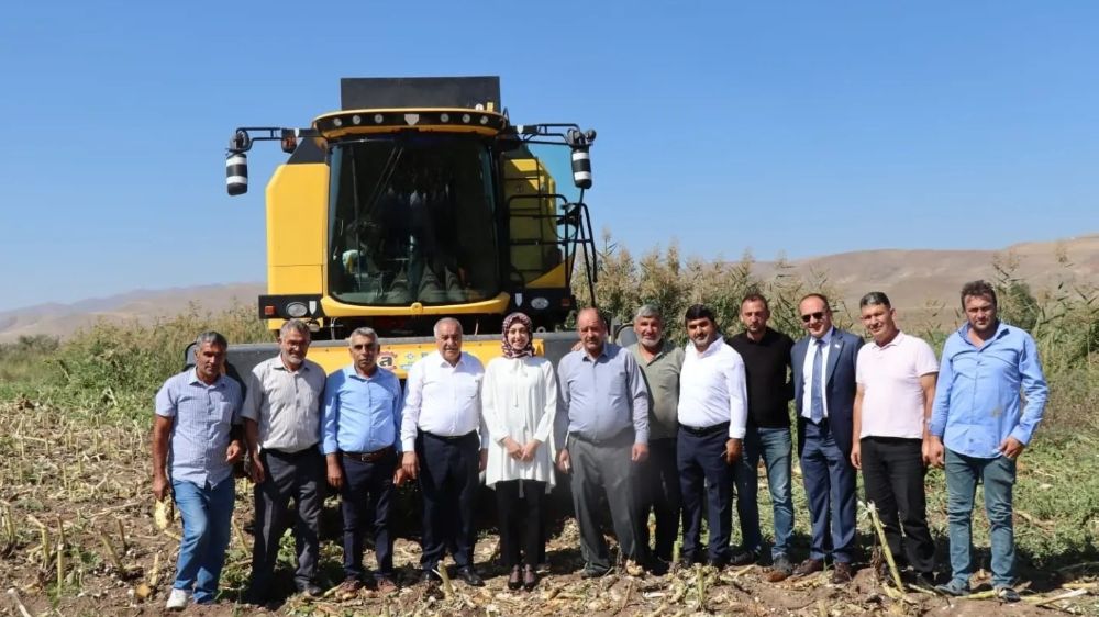 Erzincan'da ayçiçeği hasadı başladı