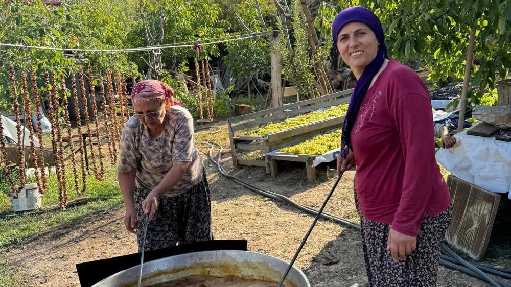 İbradı Belediye Başkanı Hatice Sekmen  Üzümleri topladı  Antalya’da pekmez kazanları kaynamaya başladı. 