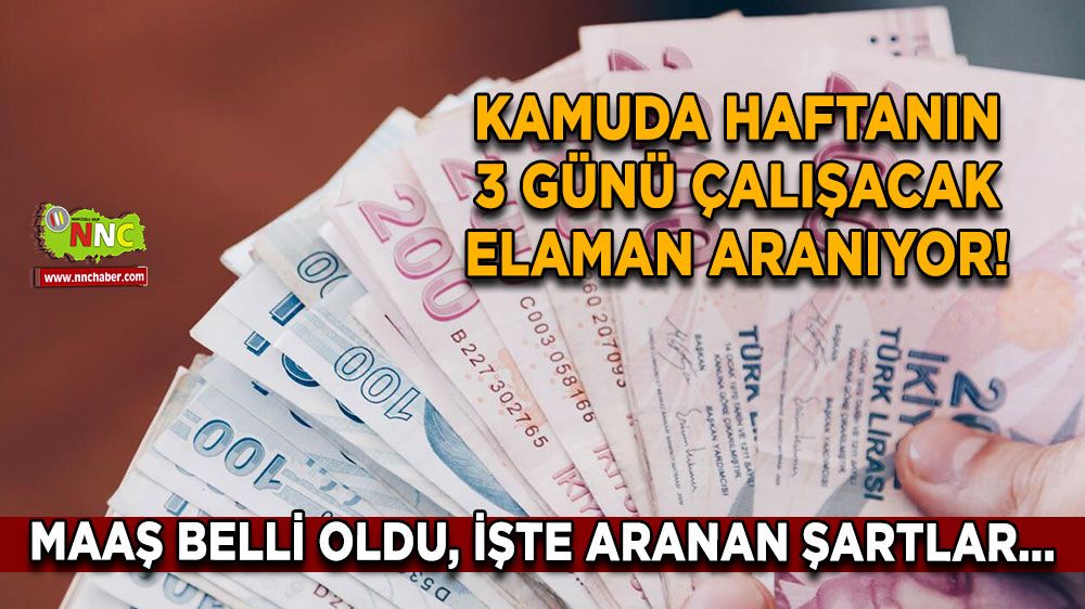 Kamuda iş imkanı, haftanın 3 günü çalışacak eleman! Maaş ve şartlar belli oldu