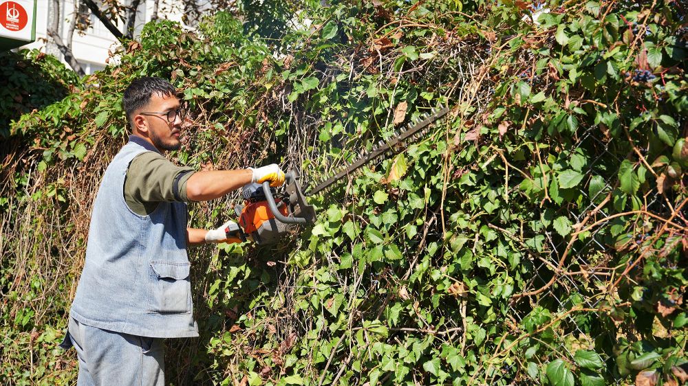 Keçiören’de mevsimlik budama çalışmaları devam ediyor