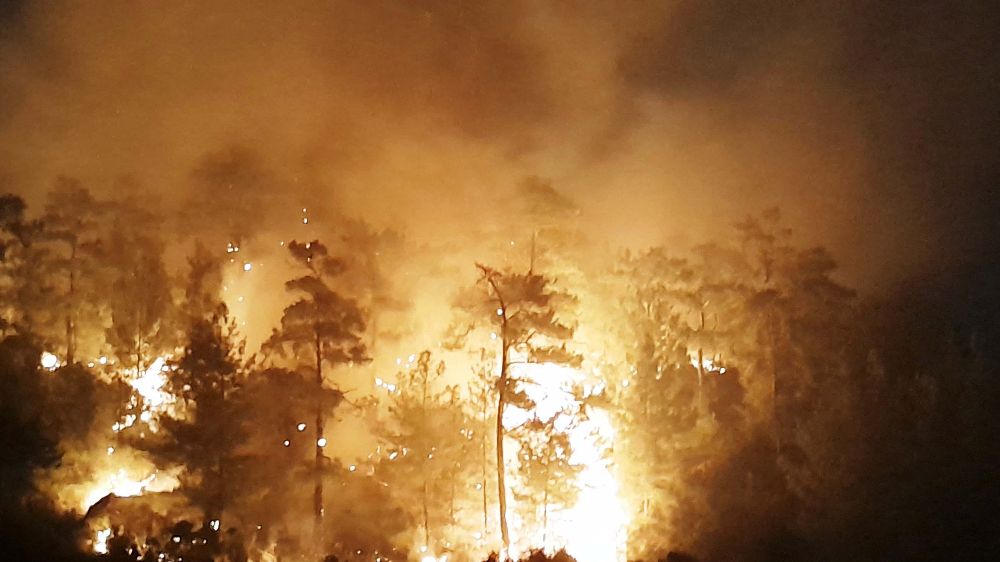 Muğla'da orman yangını devam ediyor alevler geceyi aydınlattı