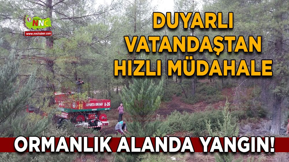 Ormanlık alanda yangın! Duyarlı vatandaştan hızlı müdahale