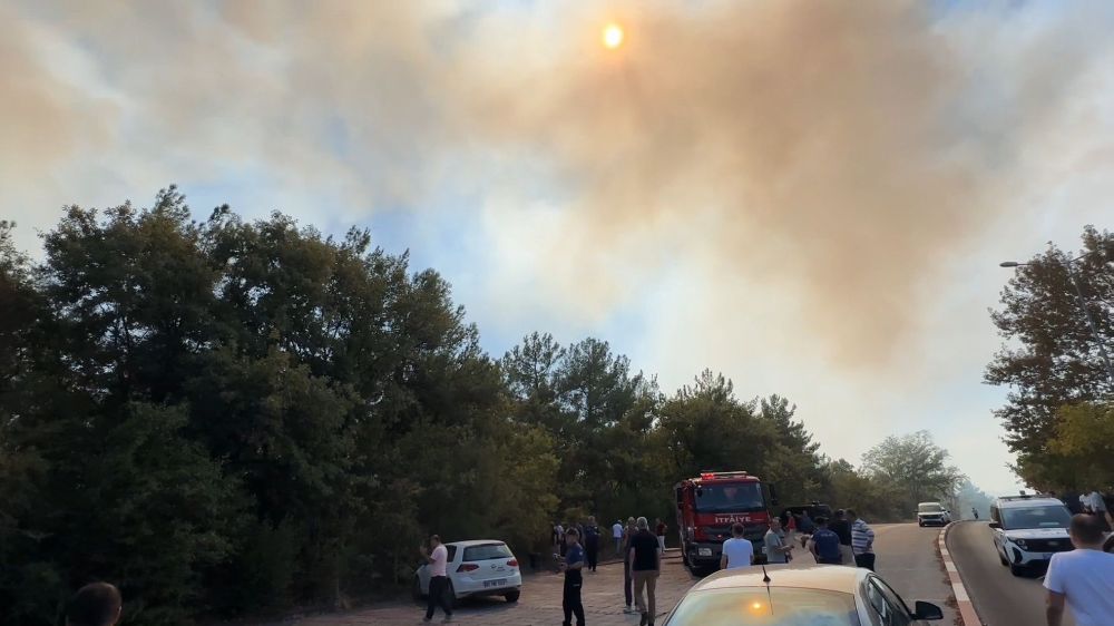 Samsun'da orman yangını 