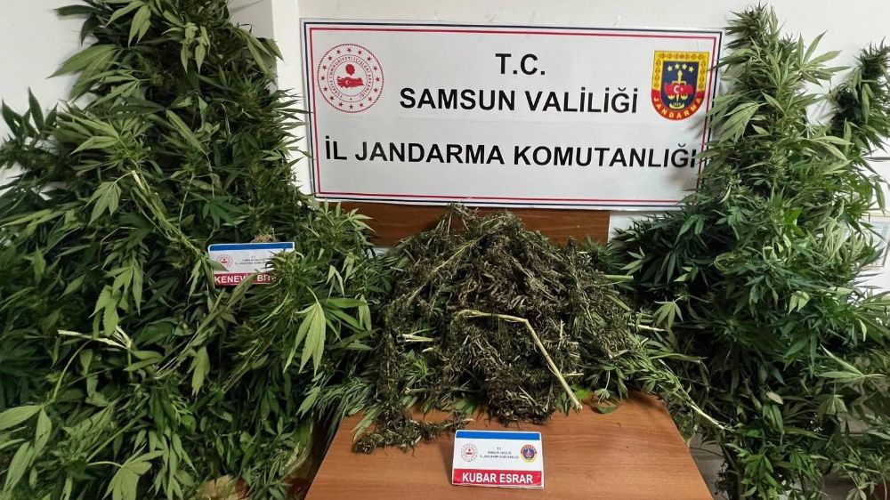 Samsun'da uyuşturucu operasyonu