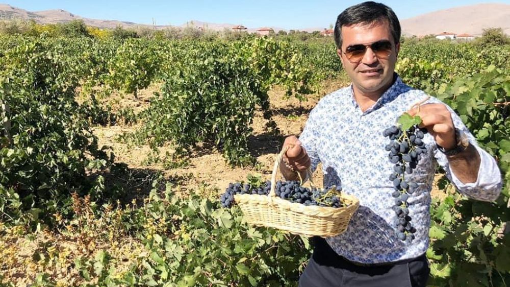 Türkiye'de Sadece Antalya Elmalı'da Üretiliyor  .Uluslararası Nuh’un Ambarı aday listesine alındı