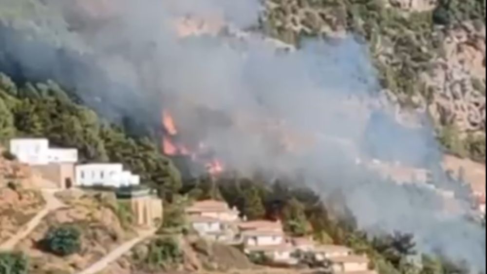 Alanya'da orman yangını havadan ve karadan müdahale