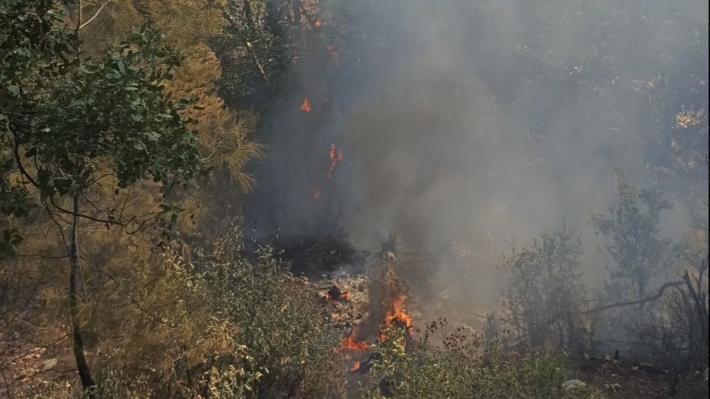 Antalya'da orman yangını! Büyümden söndürüldü