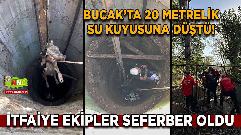 Bucak’ta 20 metrelik su kuyusuna düştü! İtfaiye ekipler seferber oldu