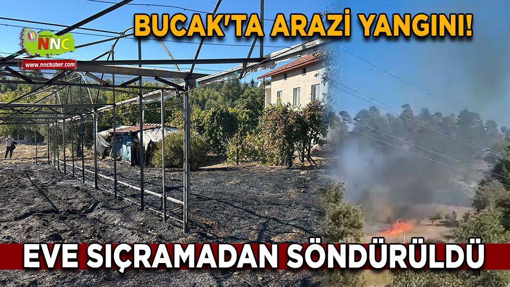 Bucak'ta arazi yangını! Eve sıçramadan söndürüldü