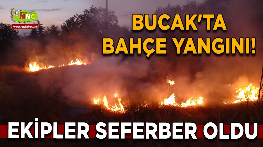 Bucak'ta bahçe yangını! Ekipler seferber oldu