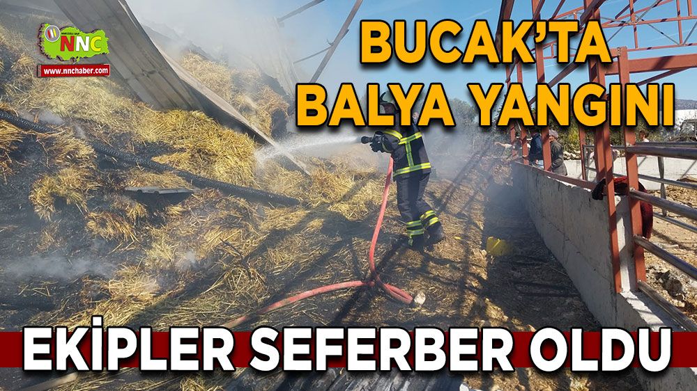 Bucak'ta balya yangını! Ekipler seferber oldu