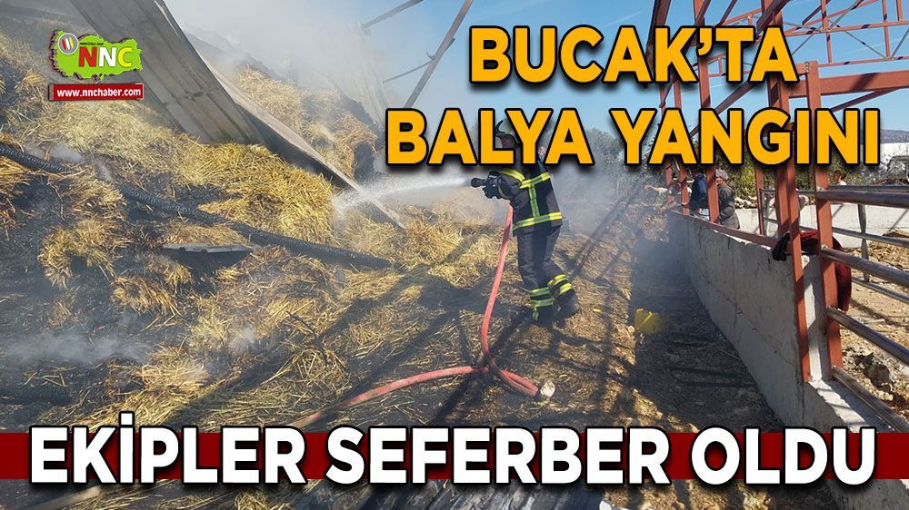 Bucak'ta balya yangını Kontrol altına alındı