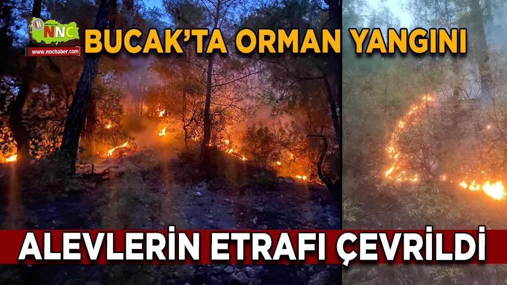 Bucak'ta orman yangını! Alevlerin etrafı çevrildi