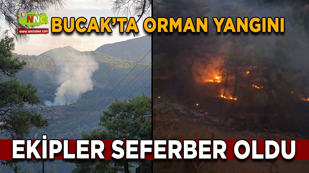 Bucak'ta orman yangını! Ekipler müdahale ediyor