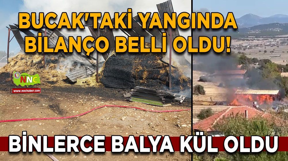 Bucak'ta yangın! 3 bin saman balyası kül oldu