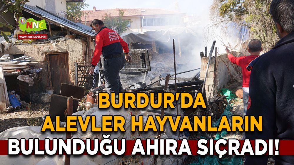 Burdur'da alevler hayvanların bulunduğu ahıra sıçradı! 