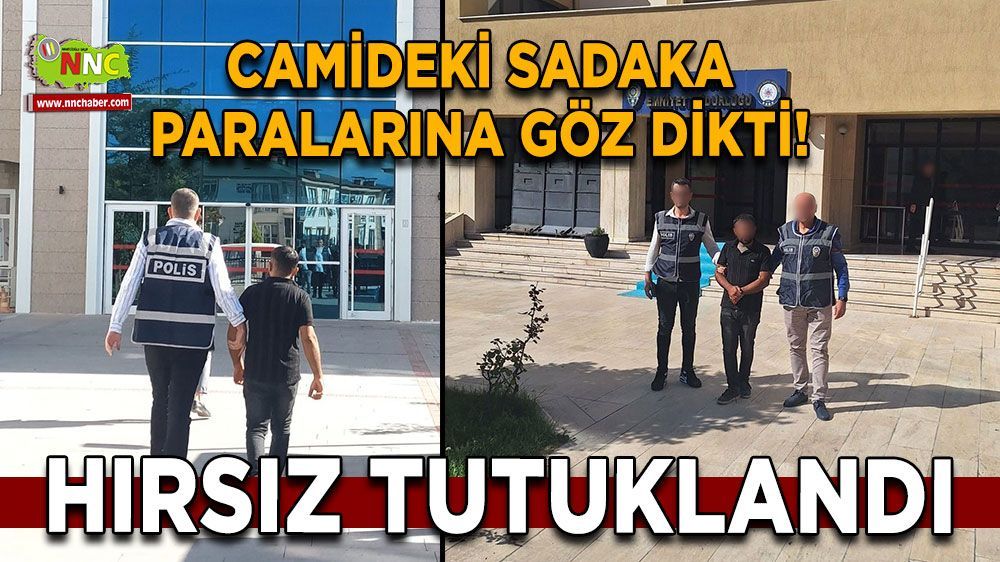 Burdur'da camide hırsızlık yapan şahıs tutuklandı