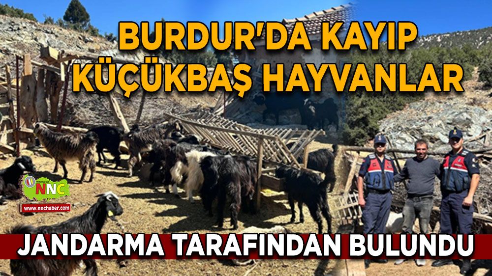 Burdur'da kayıp küçükbaş hayvanlar jandarma tarafından bulundu