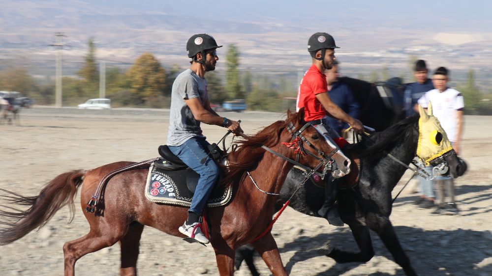 Honaz'da Cumhuriyet coşkusu Rahvan at yarışları büyük ilgiyle gerçekleşti