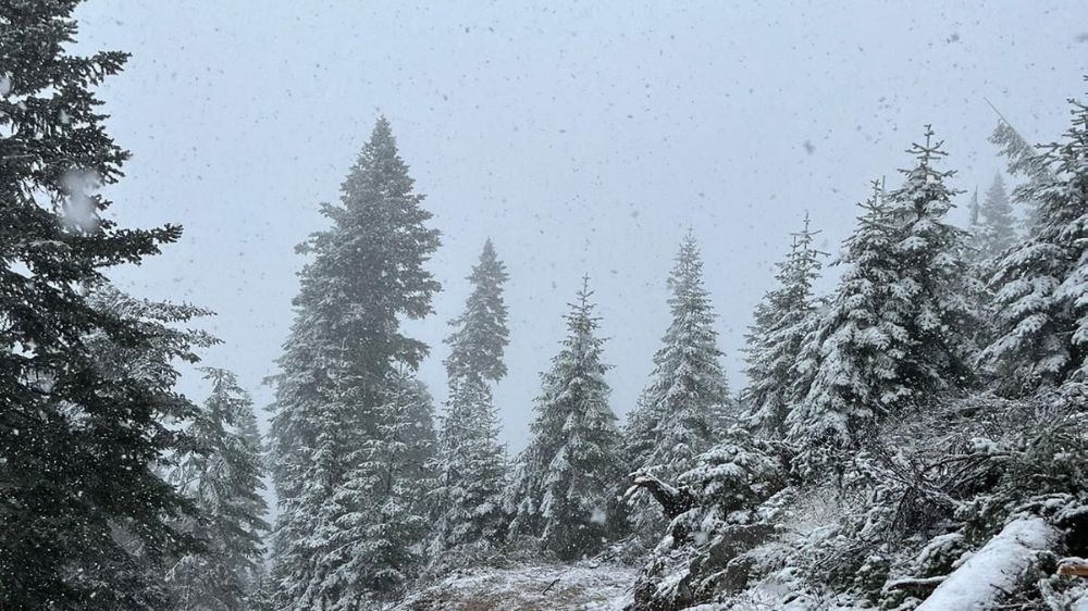 Kastamonu'da yüksek rakımlı yerlerde kar yağışı başladı