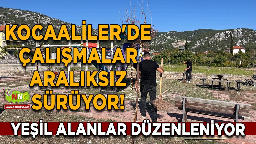 Kocaaliler'de çalışmalar aralıksız sürüyor! Yeşil alanlar düzenleniyor