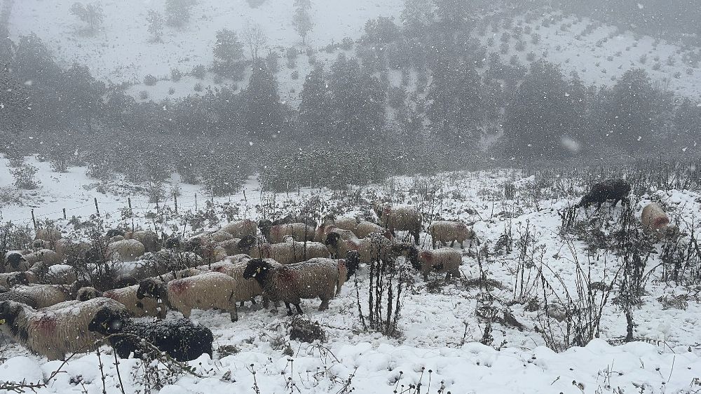 Ordu'nun yüksek kesimleri beyaz örtüyle kaplandı 