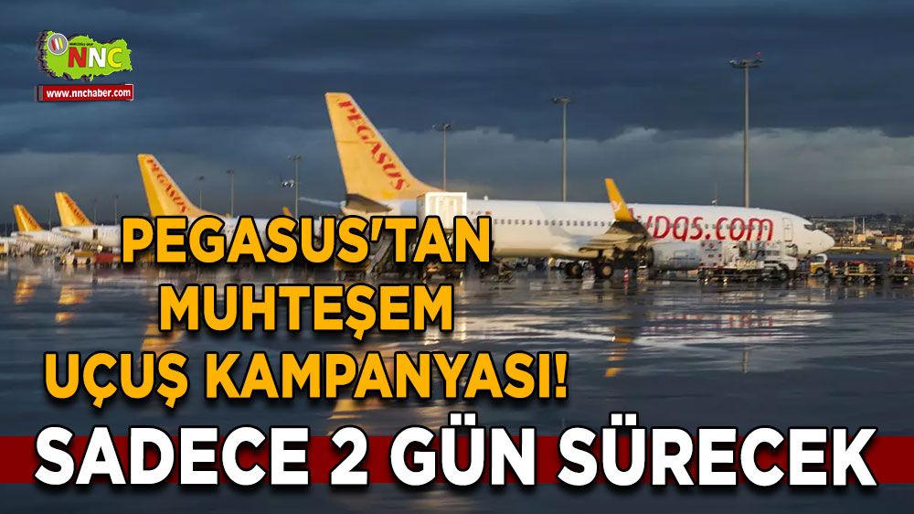 Pegasus'tan muhteşem uçuş kampanyası! Sadece 2 gün sürecek hemen alın