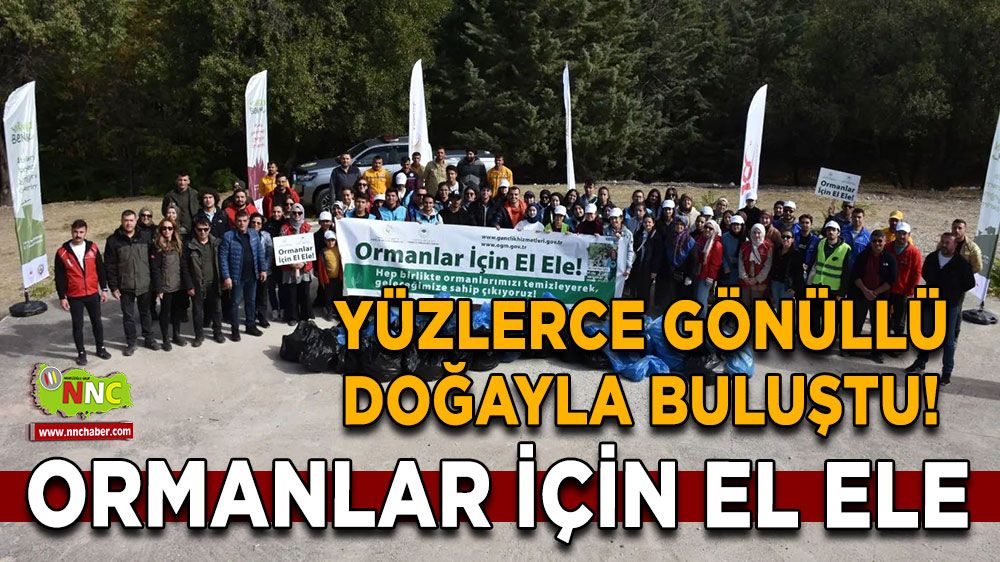 Yüzlerce gönüllü doğayla buluştu! Ormanlar için el ele