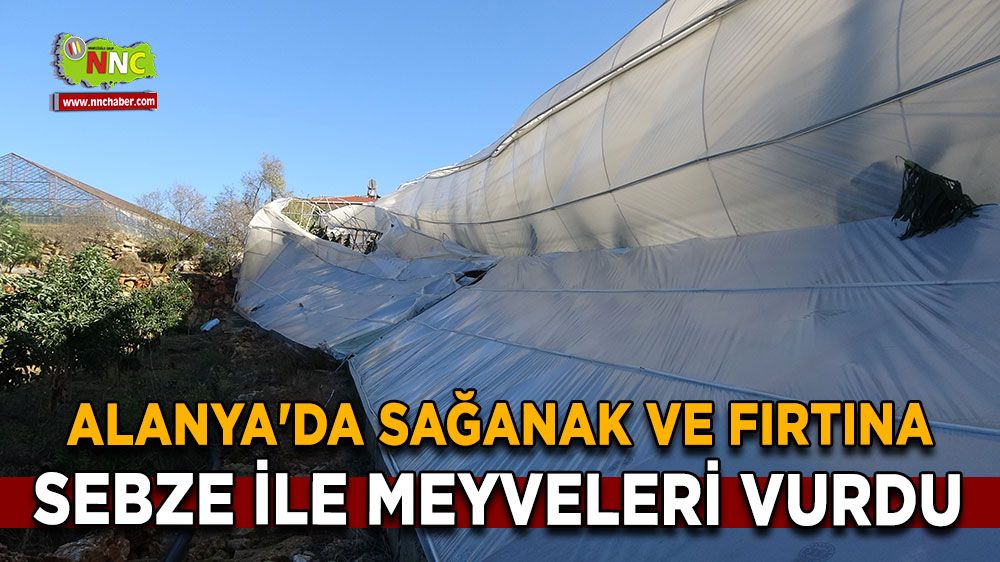 Alanya’da Sağanak ve Fırtına Seraları Vurdu Üreticiler Yardım Bekliyor