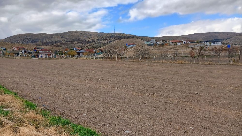 Ankara'da sahipsiz köpek saldırısına uğrayan 13 yaşındaki çocuk yaralandı