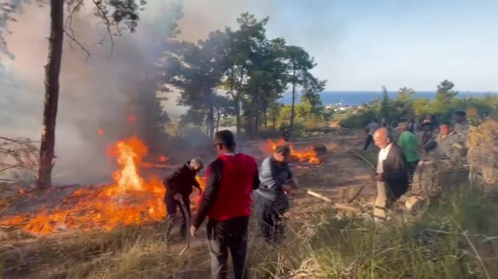 Antalya'da hava aracı ormanlık alana düştü