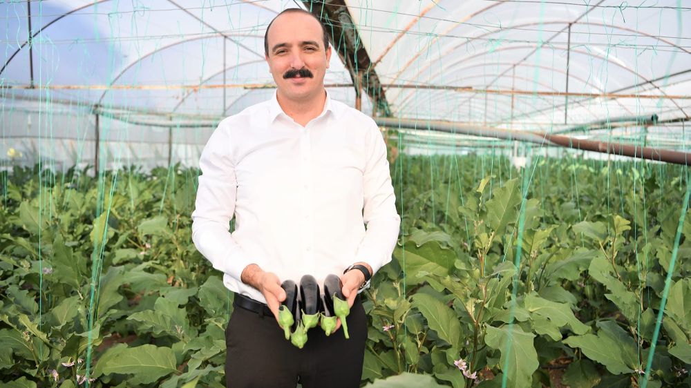 Antalya Konyaaltı Belediyesi tarafından ilk kez düzenlenen Doyran Patlıcan Şenliği Başlıyor 