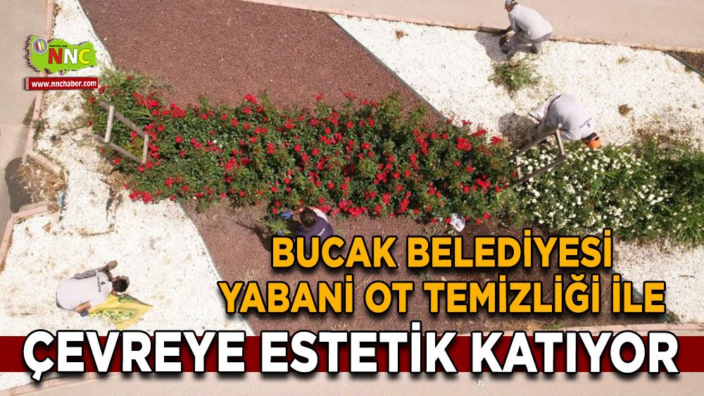 Bucak Belediyesi Yabani Ot Temizliği ile Çevreye Estetik Katıyor