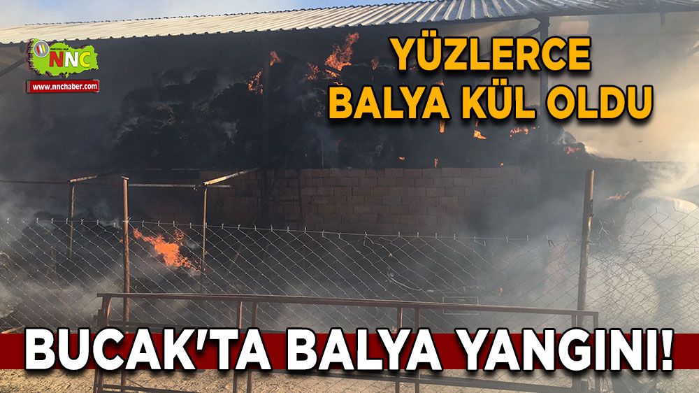 Bucak'ta balya yangını! Yüzlerce balya kül oldu